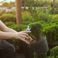 The Essential Guide to Using Water Butts in British Gardens: History, Installation, and Impact