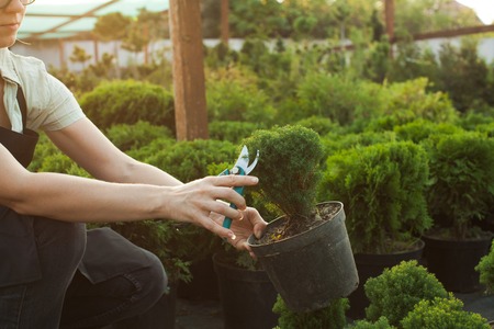 The Essential Guide to Using Water Butts in British Gardens: History, Installation, and Impact