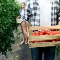 The Complete Guide to Garden Waste Management for the Sustainable British Gardener