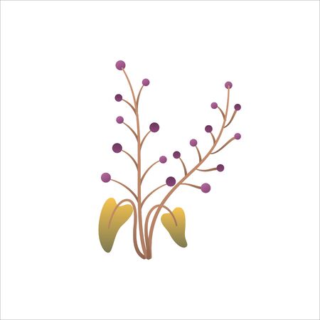 Seasonal Pruning: Timing for Maximum Flower Display