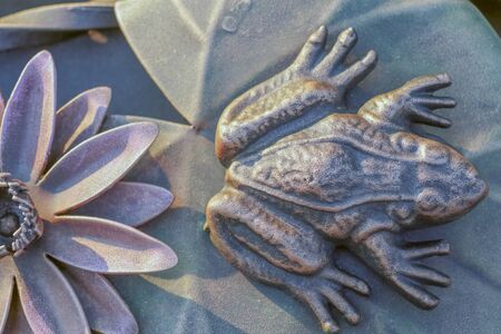 How to Encourage Frogs, Newts, and Toads to Your Garden Pond