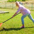Wasp and Hornet Problems in the Garden: Safety, Deterrence, and Nest Removal