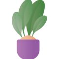 Choosing Resistant Plants for UK Gardens: Flowers and Veg That Slugs Avoid