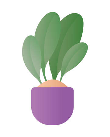 Choosing Resistant Plants for UK Gardens: Flowers and Veg That Slugs Avoid
