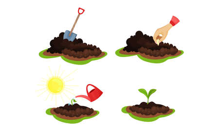 Benefits of Using Greenhouses and Polytunnels