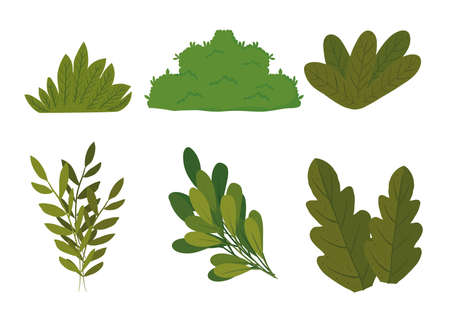 Garden Layout and Spacing: Letting the Breeze In