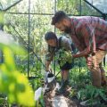 Practical Maintenance Tasks: Weekly and Seasonal Routines for Humidity Management in British Polytunnels