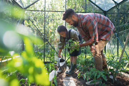 Practical Maintenance Tasks: Weekly and Seasonal Routines for Humidity Management in British Polytunnels