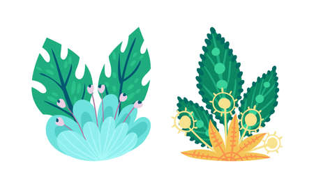 Native Plant Selection