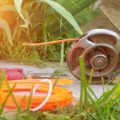 Trusted Suppliers and Innovation: The Future of Protected Growing Spaces in the UK