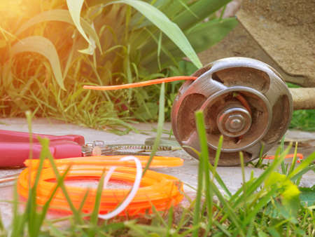 Trusted Suppliers and Innovation: The Future of Protected Growing Spaces in the UK