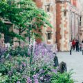 When Environmental and Health Risks Justify Calling Garden Professionals in the UK
