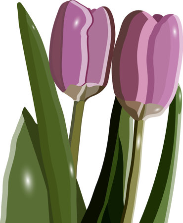 Growing Unusual Spring Bulbs: British Favourites Beyond Daffodils and Tulips