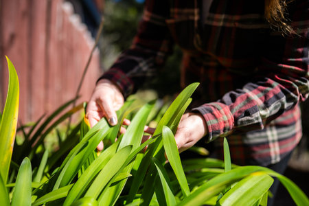 Integrating Smart Lighting Technology into Traditional British Gardens