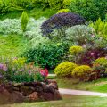 Herb Containers for Beginners: Mistakes to Avoid and Essential Know-How