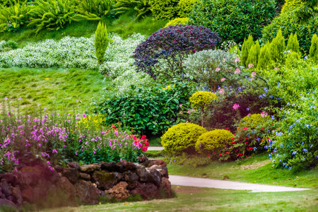Herb Containers for Beginners: Mistakes to Avoid and Essential Know-How
