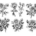Restoring Roses: Homemade Spray Solutions for Common UK Rose Pests and Diseases