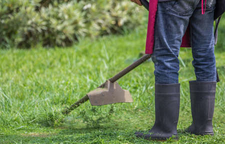 The Future of Lawn Mowing: Sustainable Practices and Innovations in British Gardening
