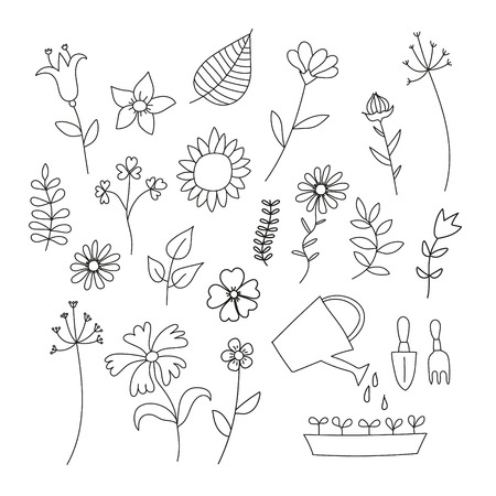 Organic Gardening Techniques for Enhancing Garden Biodiversity