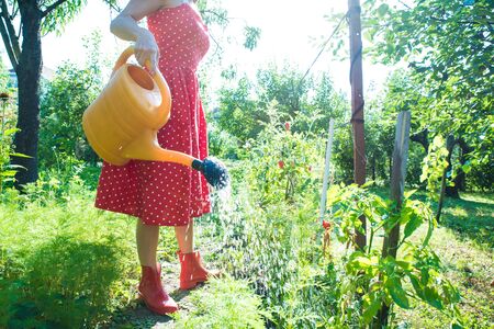 The Impact of Tool Sharpness on Garden Productivity: Trials and Insights from UK Gardens