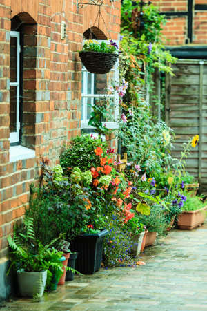 Pest and Disease Management for Container Herbs in the UK