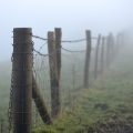 Fencing, Sheds, and Storage: Setting Up Your Allotment Infrastructure