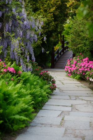 Creating Accessibility: Designing Pathways for Mobility in British Gardens