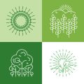Cost-Benefit Analysis: Saving Money and the Environment with Rainwater Collection