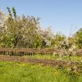 Reducing Allotment Waste: Effective Composting for Sustainable Gardening