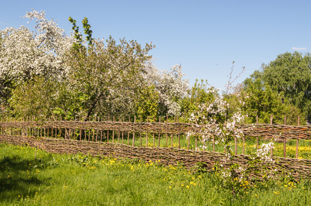 Reducing Allotment Waste: Effective Composting for Sustainable Gardening