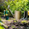 Safe Use of Garden Chemicals: British Regulations and Best Practices for Hedgehog Protection