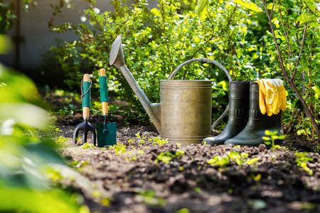 Safe Use of Garden Chemicals: British Regulations and Best Practices for Hedgehog Protection