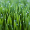 Garden Machinery Checks: Monthly Routines for Mowers, Strimmers and More