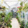 Greenhouse Orientation: North-South or East-West? What Works Best in the UK