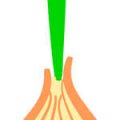 Wheelbarrows for British Gardeners: Materials, Styles, and Ergonomics