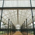 Historic and Modern Uses of Greenhouses in the UK: The Evolution Towards Polytunnels