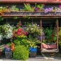 Heirloom and Native British Herbs: History, Cultivation, and Container Tips