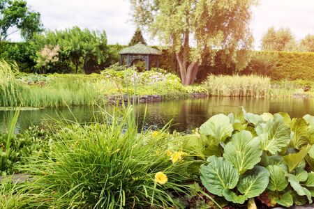Wildlife-Friendly Garden Maintenance: Monthly Actions to Support British Nature