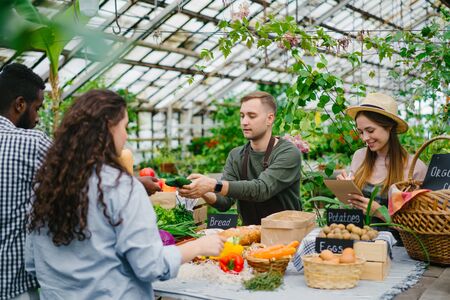 Eco-Friendly and Sustainable Greenhouse Heating Solutions for Environmentally Conscious Gardeners