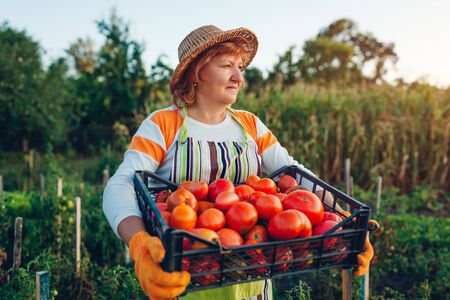Community Gardens and Allotments: Sharing Resources to Reduce Carbon Emissions