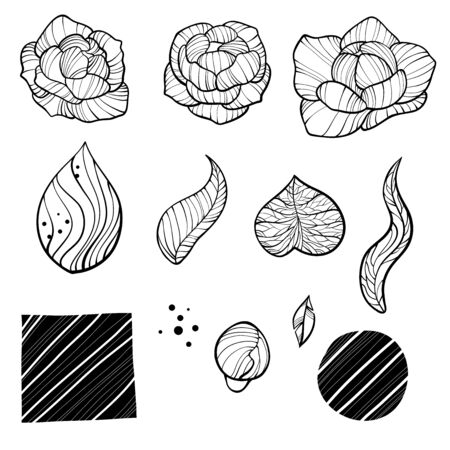 Efficient Seed Storage: Preserving Viability and Space
