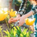 Gardening with a Conscience: The Environmental Impact of Garden Waste and How to Minimise It