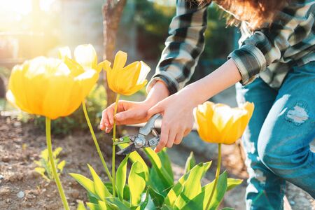 Gardening with a Conscience: The Environmental Impact of Garden Waste and How to Minimise It