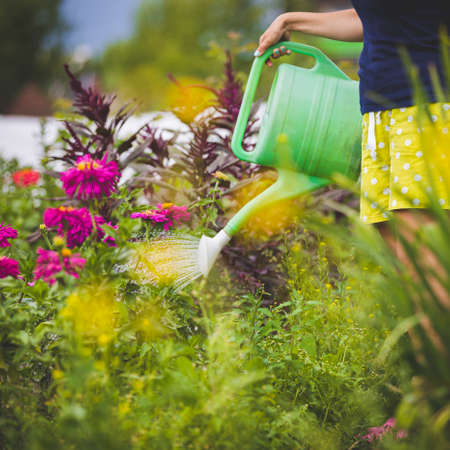 Humidity and Plant Diseases: Identifying and Managing Common Problems in the UK