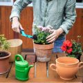 Selecting the Best Materials for Greenhouse Structures in the UK: Durability and Cost