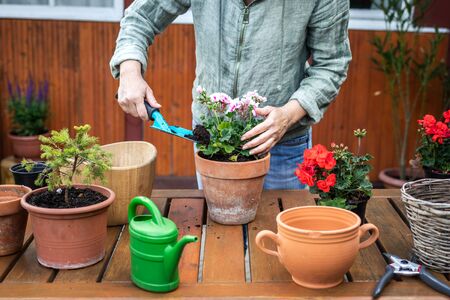 Selecting the Best Materials for Greenhouse Structures in the UK: Durability and Cost