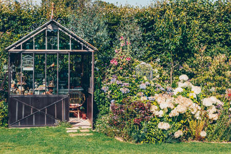 Allotment Shed Organisation for Beginners: What Every British Gardener Needs to Know