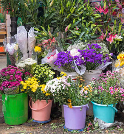 Colour Schemes and Plant Pairings for Striking Raised Planters