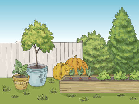 Succession Planting Essentials for Year-Round Harvests