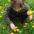 Children and Wildflower Meadows: Education and Garden Activities